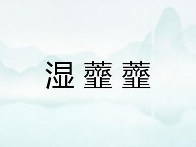湿虀虀