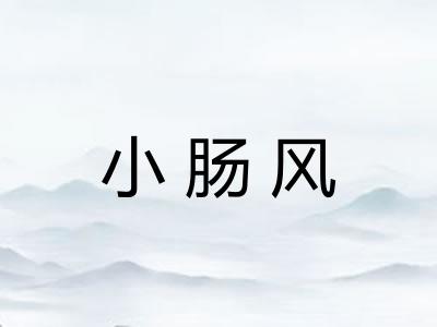 小肠风
