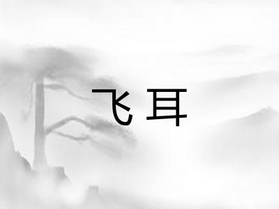 飞耳