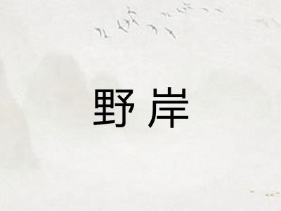 野岸