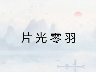 片光零羽