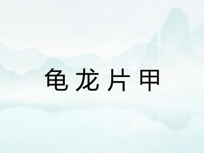 龟龙片甲