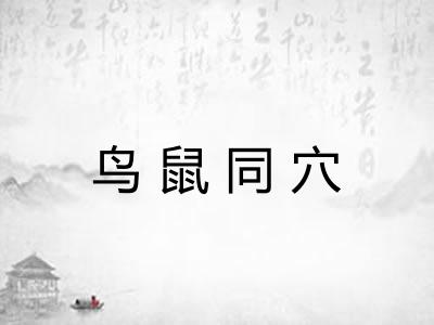 鸟鼠同穴