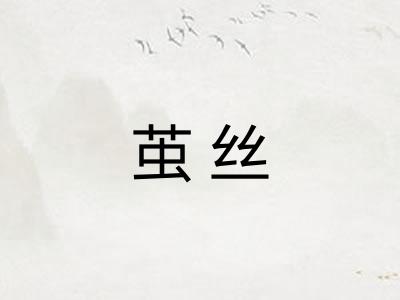 茧丝