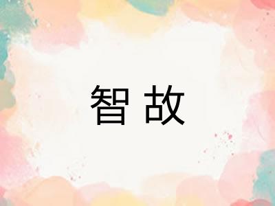 智故