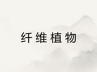 纤维植物