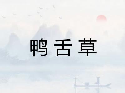 鸭舌草