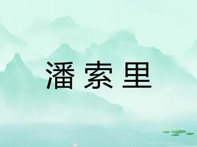 潘索里