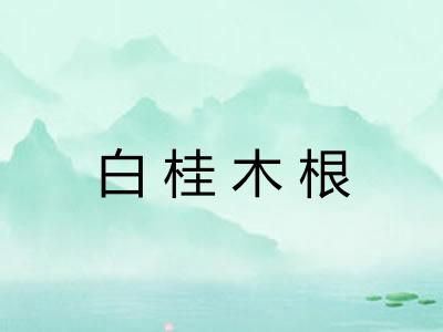 白桂木根