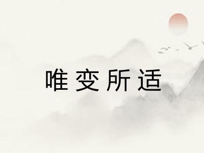 唯变所适