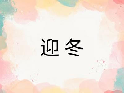 迎冬