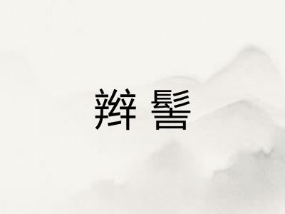 辫髻