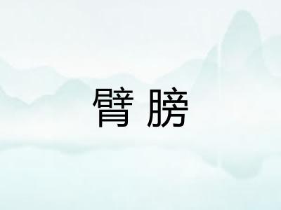 臂膀