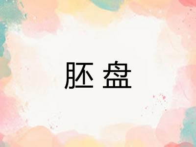 胚盘