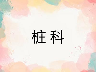 桩科