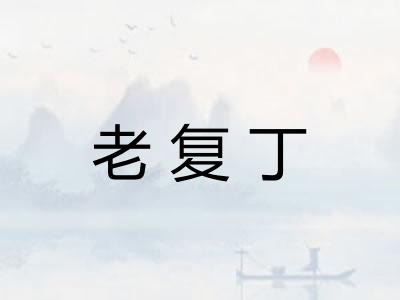 老复丁