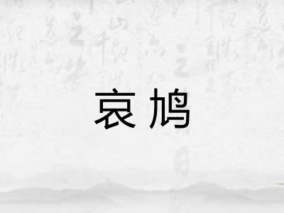 哀鸠