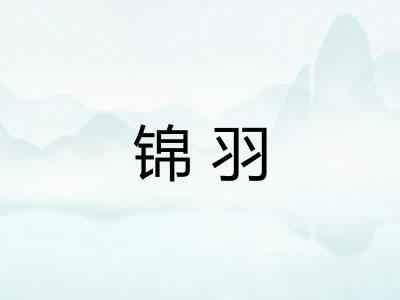 锦羽