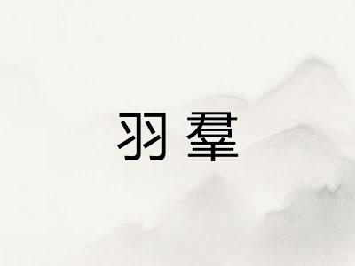 羽羣