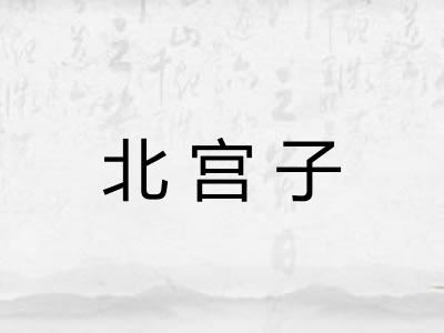 北宫子