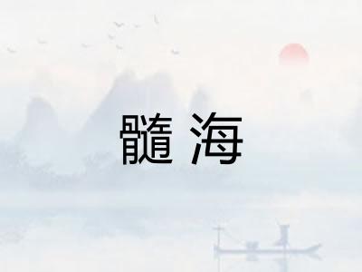 髓海