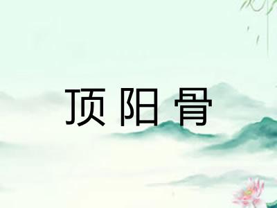 顶阳骨