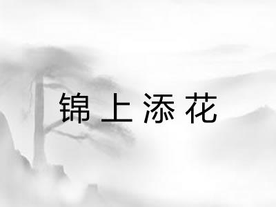 锦上添花