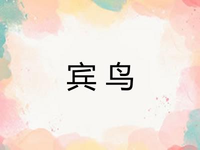 宾鸟