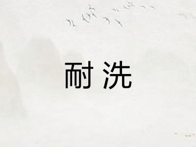 耐洗