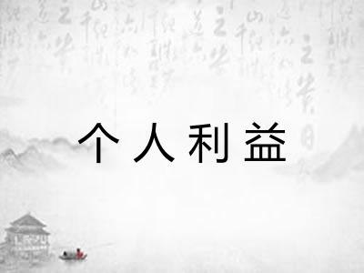 个人利益
