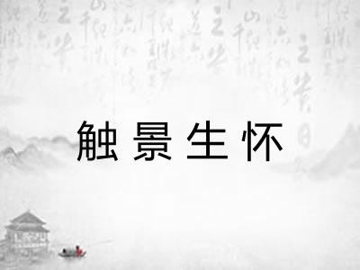 触景生怀
