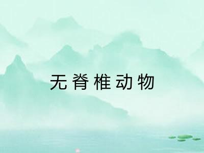无脊椎动物