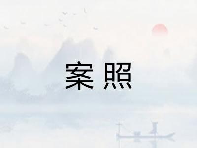 案照