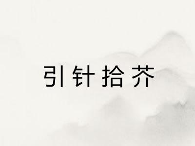 引针拾芥