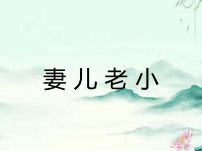 妻儿老小