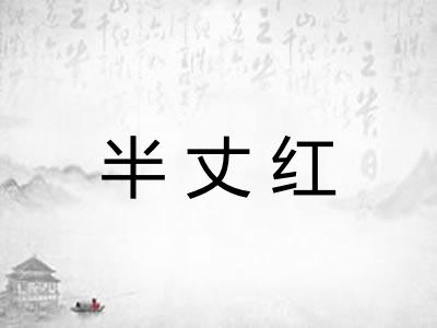 半丈红