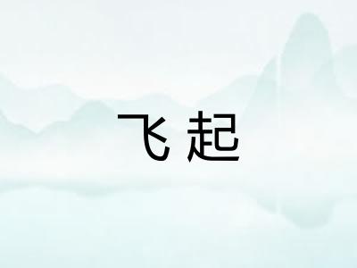 飞起