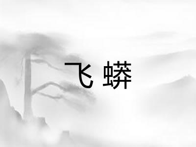 飞蟒