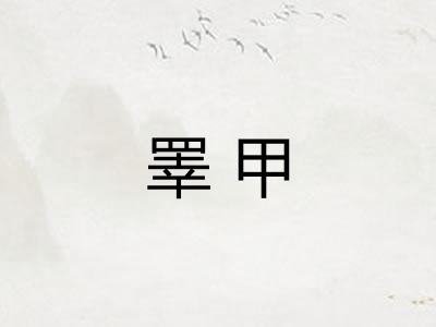睪甲