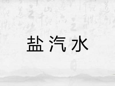 盐汽水