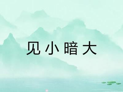 见小暗大