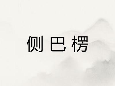 侧巴楞
