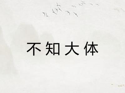 不知大体