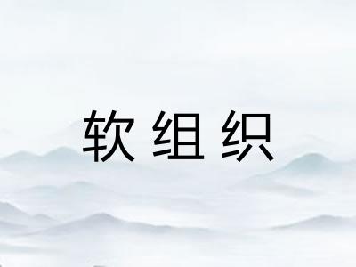 软组织