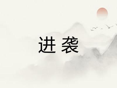 进袭