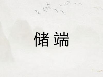 储端