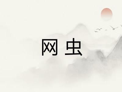 网虫