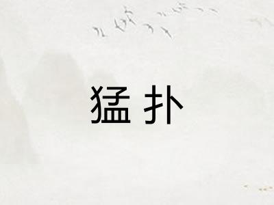 猛扑
