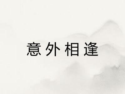 意外相逢