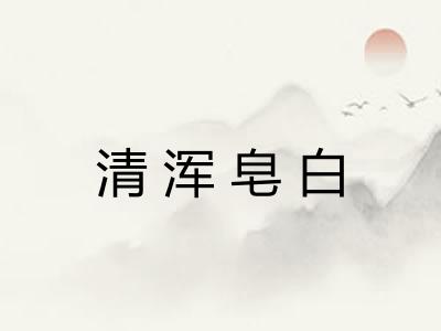 清浑皂白